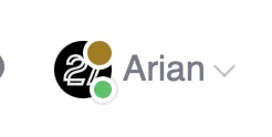 The level mark in the user bar, beside an online indicator
